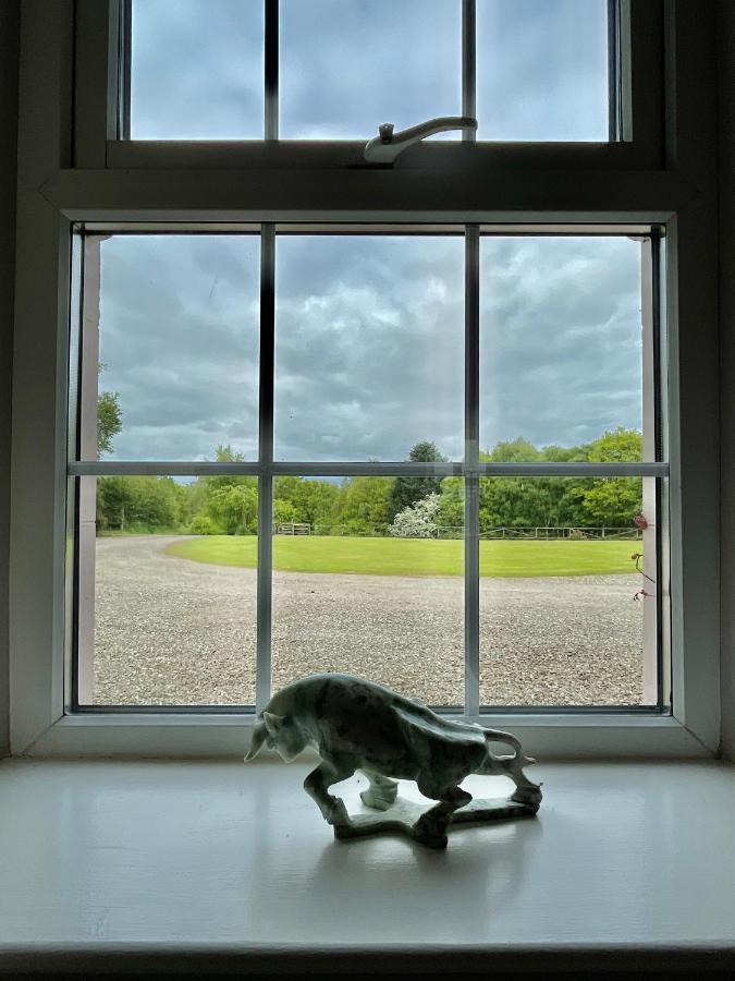 The Cottage At Riverbank Ballinamallard エクステリア 写真