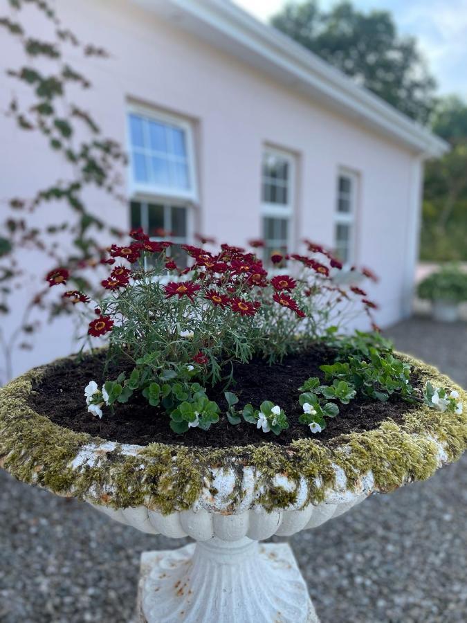The Cottage At Riverbank Ballinamallard エクステリア 写真